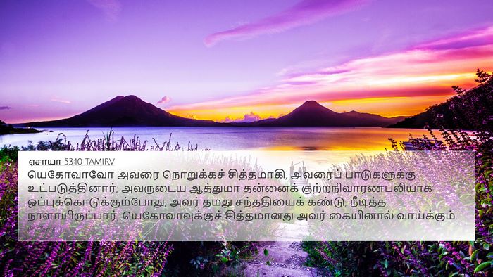 ஏசாயா 53:10 TAMIRV Bible Verse Image