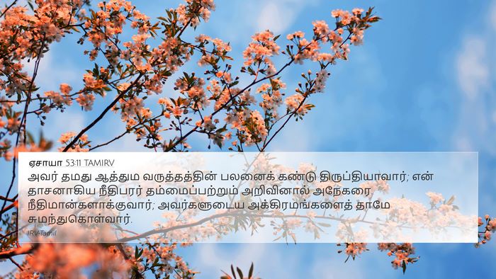 ஏசாயா 53:11 TAMIRV Bible Verse Image