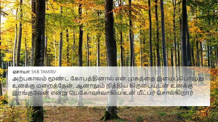 ஏசாயா 54:8 TAMIRV Bible Verse Image
