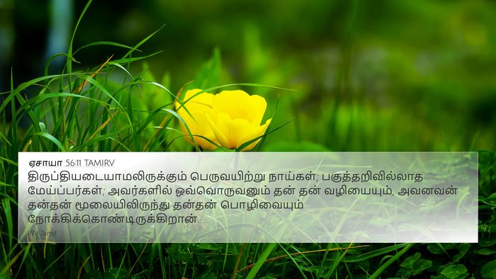 ஏசாயா 56:11 TAMIRV Bible Verse Image