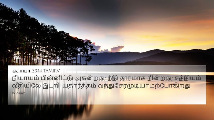 ஏசாயா 59:14 TAMIRV Bible Verse Image