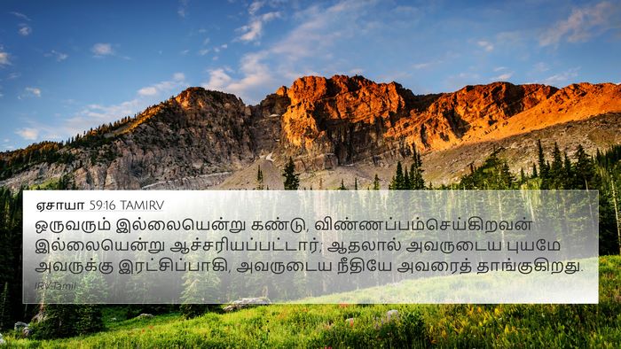 ஏசாயா 59:16 TAMIRV Bible Verse Image