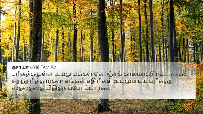 ஏசாயா 63:18 TAMIRV Bible Verse Image