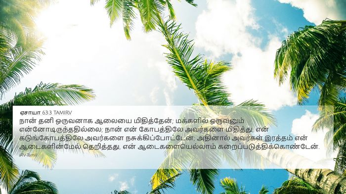ஏசாயா 63:3 TAMIRV Bible Verse Image
