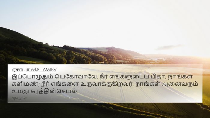 ஏசாயா 64:8 TAMIRV Bible Verse Image