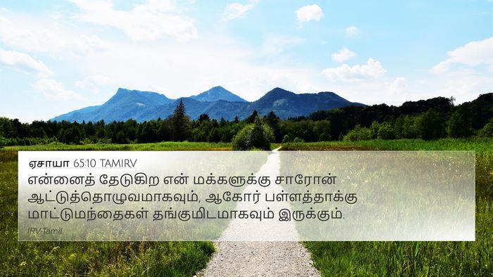 ஏசாயா 65:10 TAMIRV Bible Verse Image