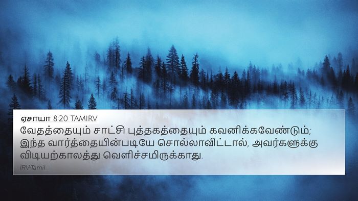 ஏசாயா 8:20 TAMIRV Bible Verse Image