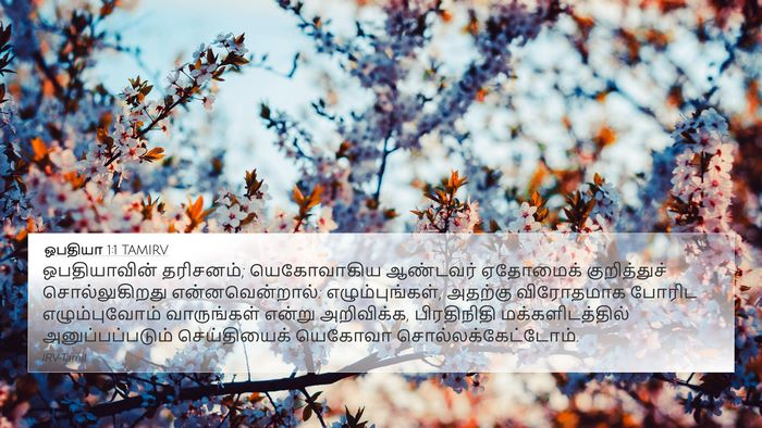 ஒபதியா 1:1 TAMIRV Bible Verse Image