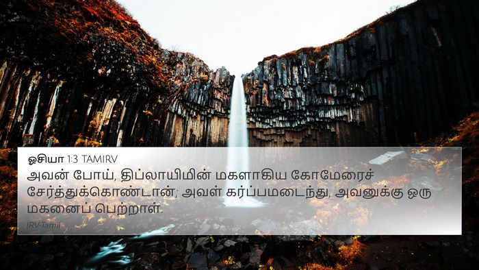 ஓசியா 1:3 TAMIRV Bible Verse Image