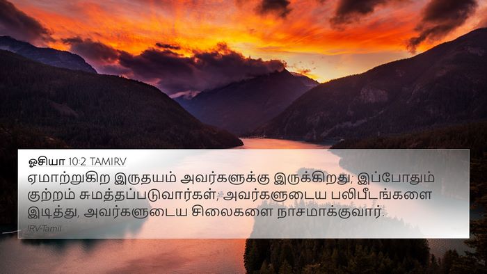 ஓசியா 10:2 TAMIRV Bible Verse Image