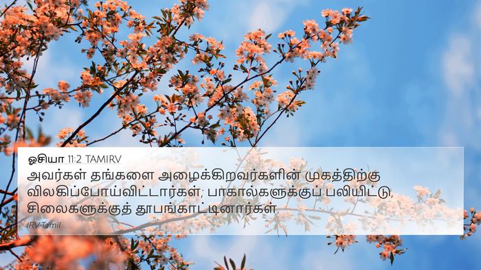ஓசியா 11:2 TAMIRV Bible Verse Image