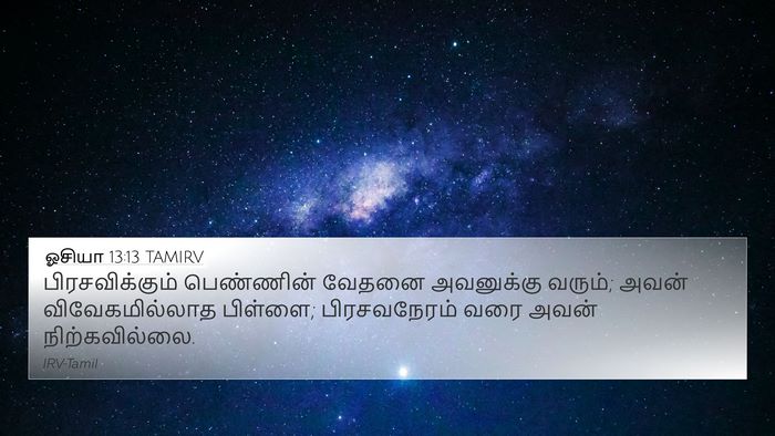 ஓசியா 13:13 TAMIRV Bible Verse Image