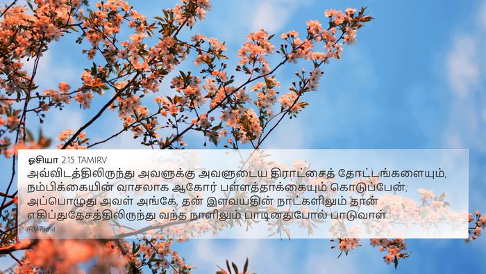 ஓசியா 2:15 TAMIRV Bible Verse Image