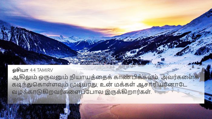 ஓசியா 4:4 TAMIRV Bible Verse Image