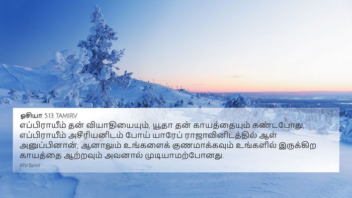 ஓசியா 5:13 TAMIRV Bible Verse Image