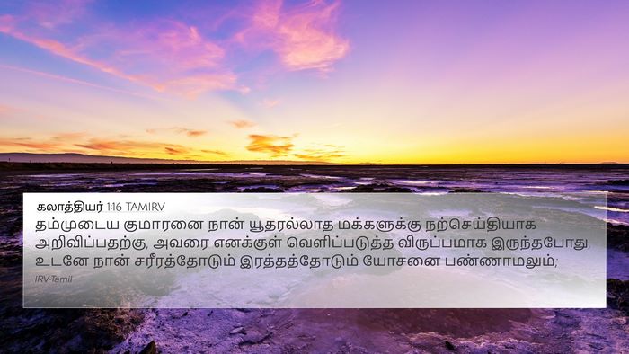 கலாத்தியர் 1:16 TAMIRV Bible Verse Image