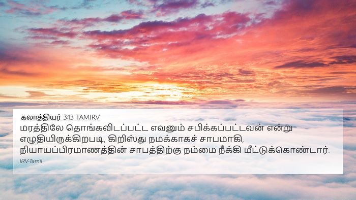 கலாத்தியர் 3:13 TAMIRV Bible Verse Image