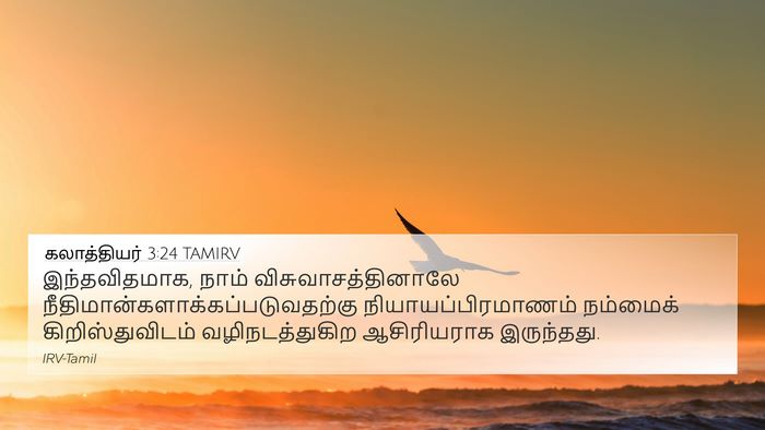 கலாத்தியர் 3:24 TAMIRV Bible Verse Image