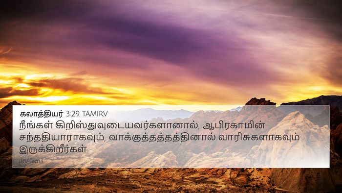 கலாத்தியர் 3:29 TAMIRV Bible Verse Image
