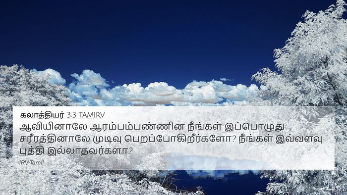 கலாத்தியர் 3:3 TAMIRV Bible Verse Image
