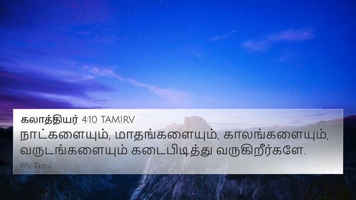 கலாத்தியர் 4:10 TAMIRV Bible Verse Image