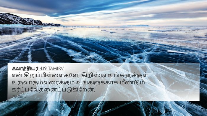 கலாத்தியர் 4:19 TAMIRV Bible Verse Image