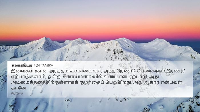 கலாத்தியர் 4:24 TAMIRV Bible Verse Image