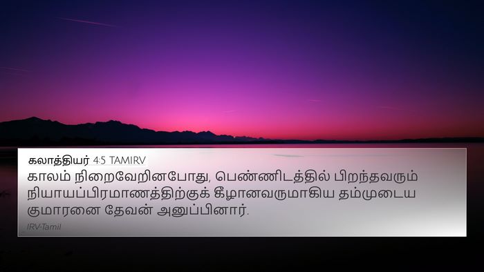 கலாத்தியர் 4:5 TAMIRV Bible Verse Image