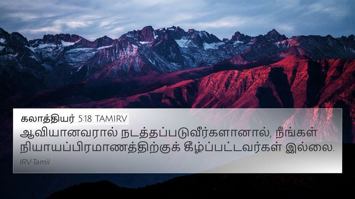 கலாத்தியர் 5:18 TAMIRV Bible Verse Image