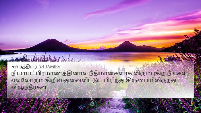 கலாத்தியர் 5:4 TAMIRV Bible Verse Image