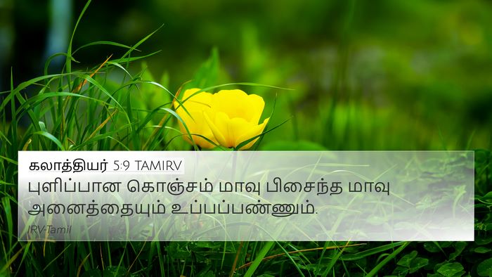 கலாத்தியர் 5:9 TAMIRV Bible Verse Image