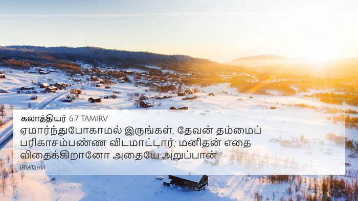 கலாத்தியர் 6:7 TAMIRV Bible Verse Image