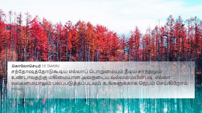 கொலோசெயர் 1:11 TAMIRV Bible Verse Image