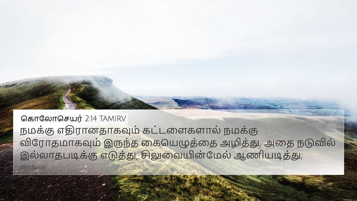 கொலோசெயர் 2:14 TAMIRV Bible Verse Image