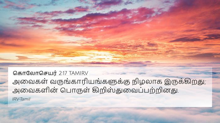 கொலோசெயர் 2:17 TAMIRV Bible Verse Image