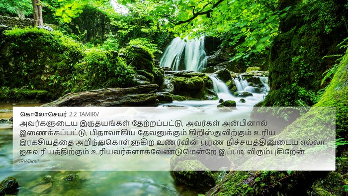கொலோசெயர் 2:2 TAMIRV Bible Verse Image