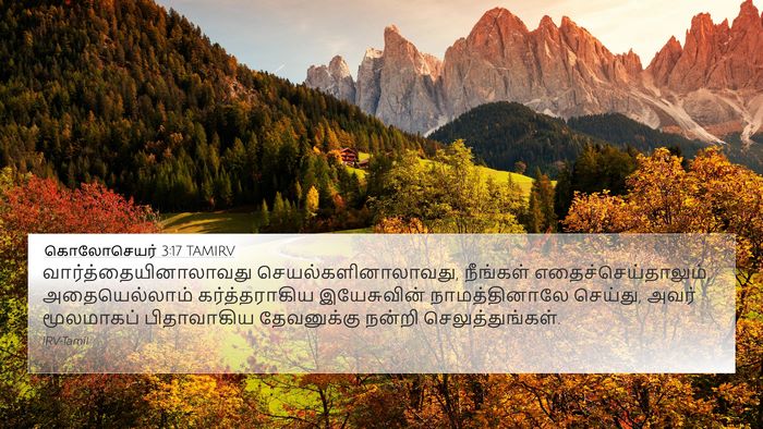 கொலோசெயர் 3:17 TAMIRV Bible Verse Image