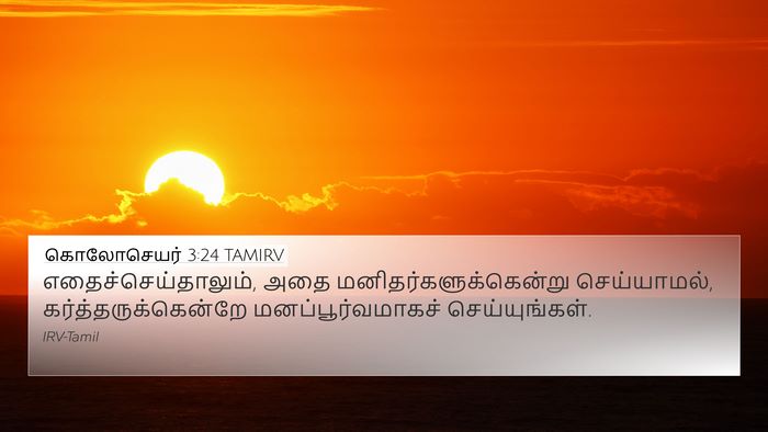 கொலோசெயர் 3:24 TAMIRV Bible Verse Image