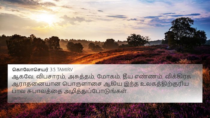 கொலோசெயர் 3:5 TAMIRV Bible Verse Image