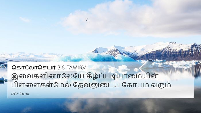 கொலோசெயர் 3:6 TAMIRV Bible Verse Image