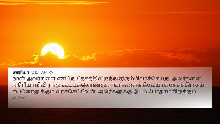 சகரியா 10:10 TAMIRV Bible Verse Image