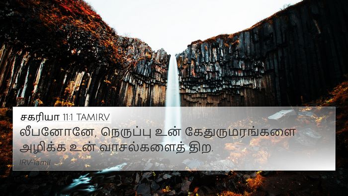 சகரியா 11:1 TAMIRV Bible Verse Image