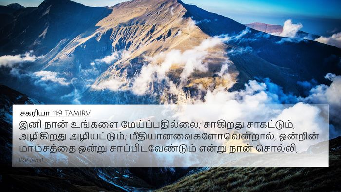 சகரியா 11:9 TAMIRV Bible Verse Image