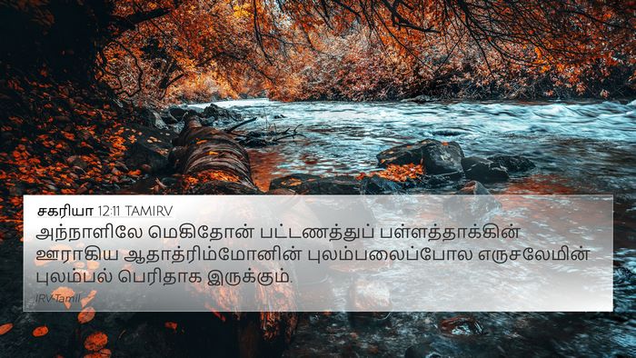 சகரியா 12:11 TAMIRV Bible Verse Image