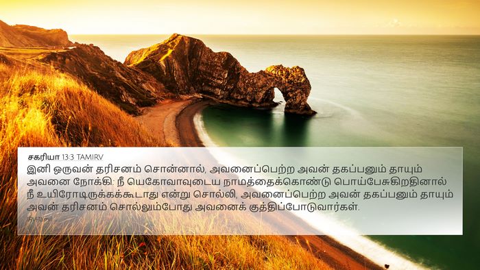 சகரியா 13:3 TAMIRV Bible Verse Image