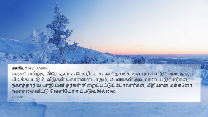 சகரியா 14:2 TAMIRV Bible Verse Image