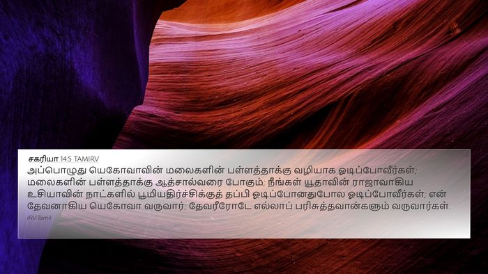 சகரியா 14:5 TAMIRV Bible Verse Image