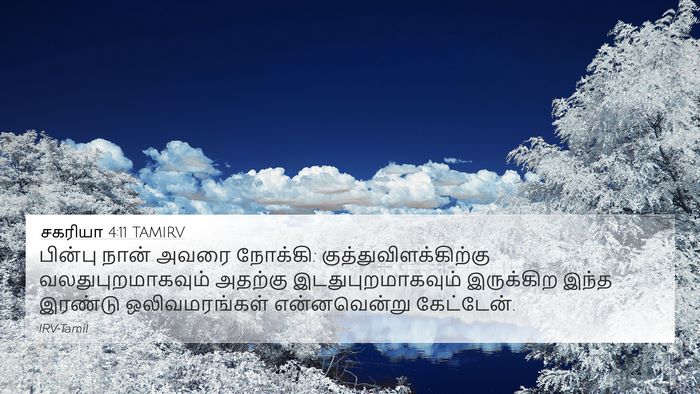 சகரியா 4:11 TAMIRV Bible Verse Image