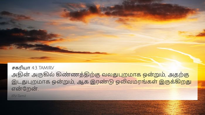 சகரியா 4:3 TAMIRV 4K Wallpaper - அதின் அருகில் - 4K Wallpaper Bible Verse