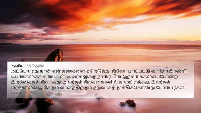 சகரியா 5:9 TAMIRV Bible Verse Image